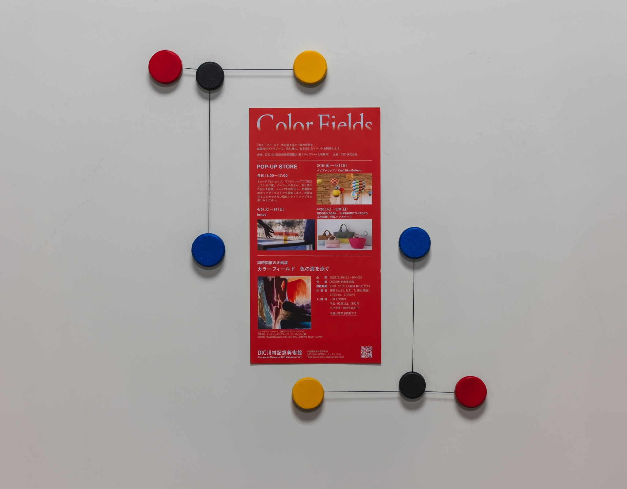 magNET product detail