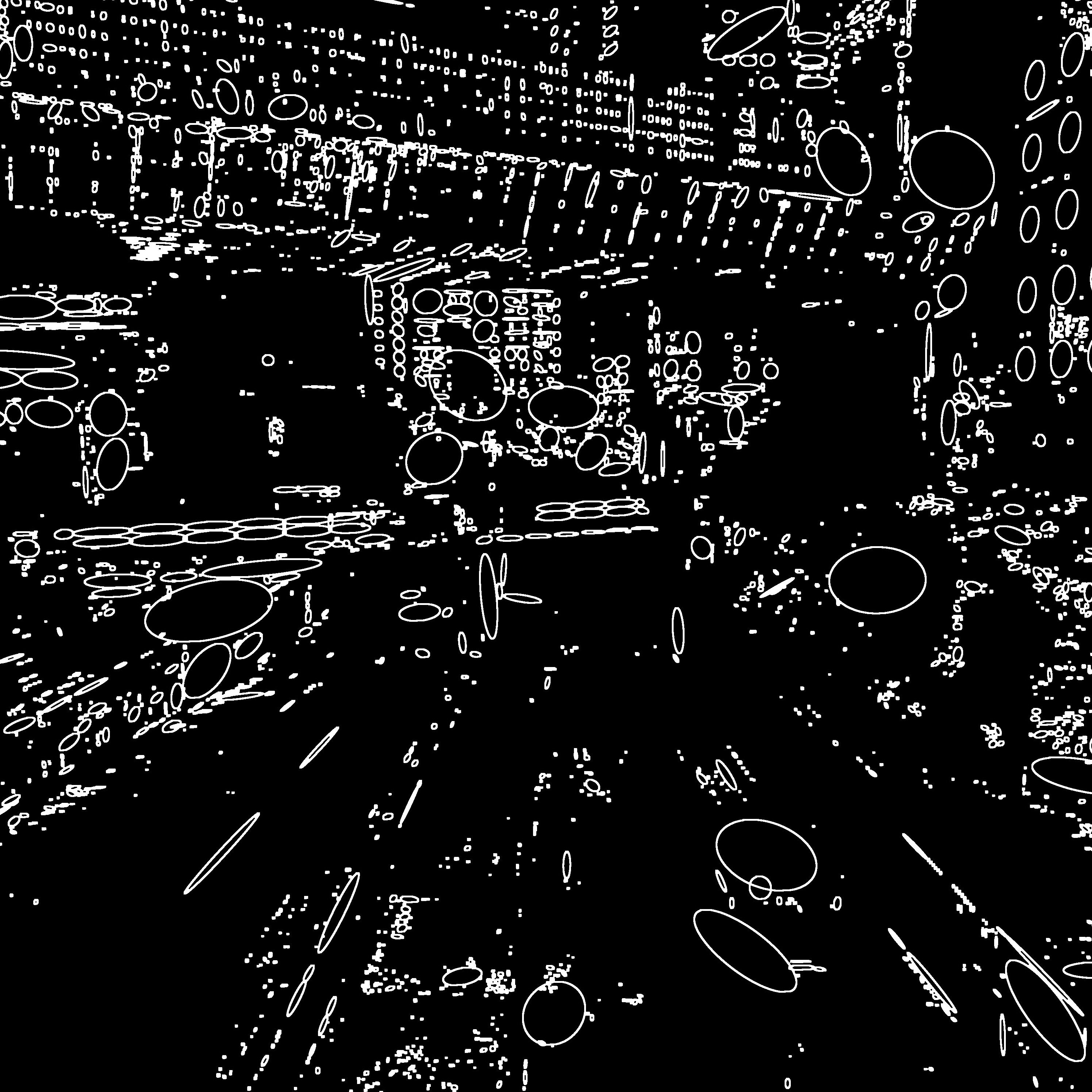 Visual Texture — Motion Study